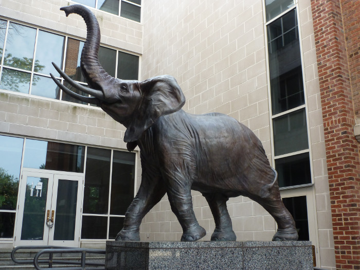 An Elephant graces the Embassy of Cote d'Ivoire.